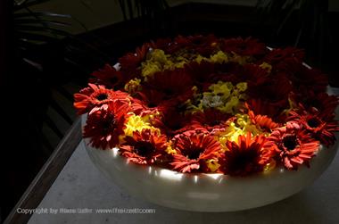 03 Cama_Rajputana_Club_Resort,_Mount_Abu_DSC4045_b_H600